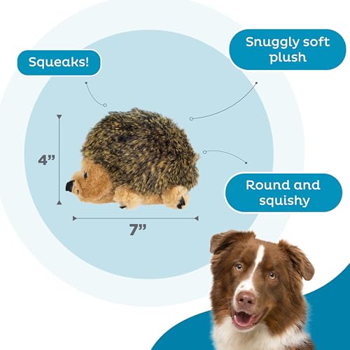 Hedgehogz Plush Dog Toy (Dog Plush Hedgehogz / Small (Pack of 1))