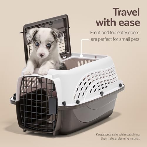 Two Door Plastic Pet Kennel for Small Dogs and Cats (Two-door / 19.4"L x 10.0"W x 12.8"H / WHITE)