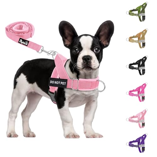 No Pull Dog Harness and Leash Set (Pink / Small)