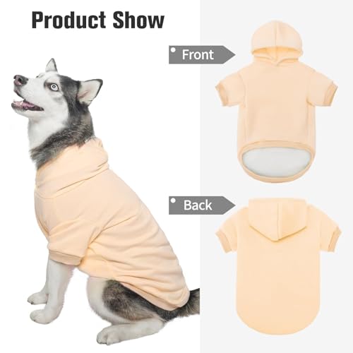 Dog Hoodie for Small Dogs (#2 Beige(Plain) / Small (All Breed Sizes))