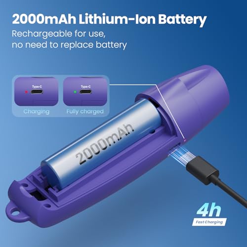 Electronic Whistle with USB Charging (blue)