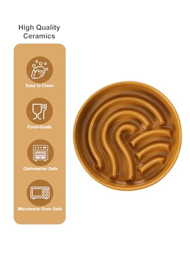 Ceramic Slow Feeder Dog Bowl (Waves-Orange / Medium)