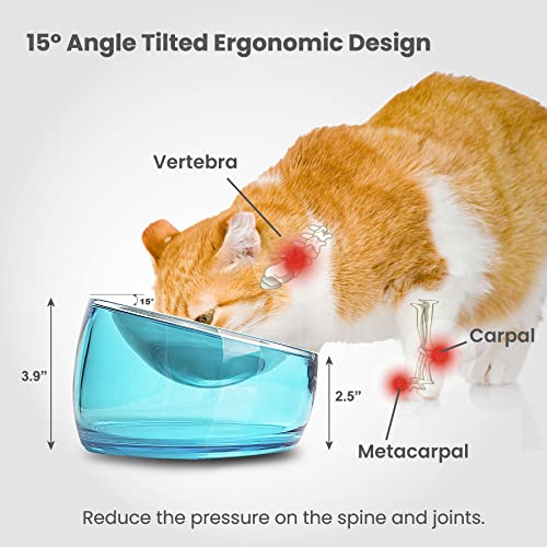 Pet Oblik Whisker Fatigue Cat Food Bowl Raised Stainless Steel Shallow Dish (Sapphire / 0.5 Cups Shallow Dish)