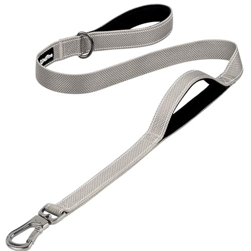 4FT Heavy Duty Dog Leash with Soft Padded Double Handle (4 FT x 1 in Wide / Grey)