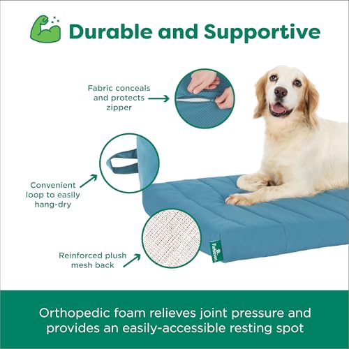 Orthopedic Dog Bed (Medium / Lagoon)