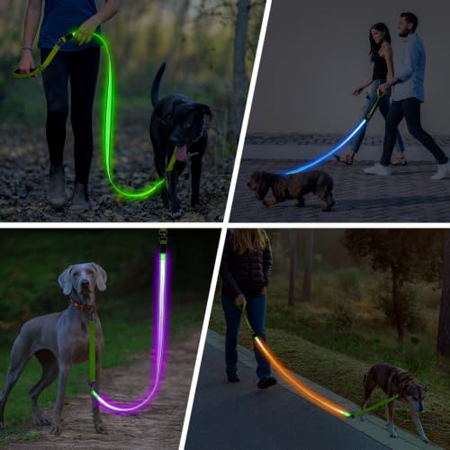 Light Up Dog Leash (Green / 6FT)