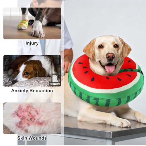 Recovery Donut Collar for Medium Large Dogs (Red Watermelon / XL(Neck 18"-21"))