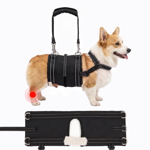 Adjustable Male Dog Lift Harness for Large Dogs (Dark Black (Male) / Small)
