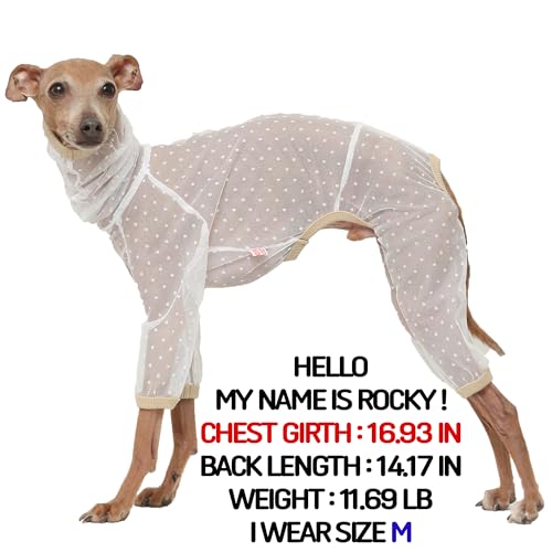 D Doggy Star Italian Greyhound Clothes Sheer Mesh Onesie Summer Jumpsuit Breathable Full Body Protection for Outdoor Walks Small Whippet Fit (2XL / Sheer Mesh White)