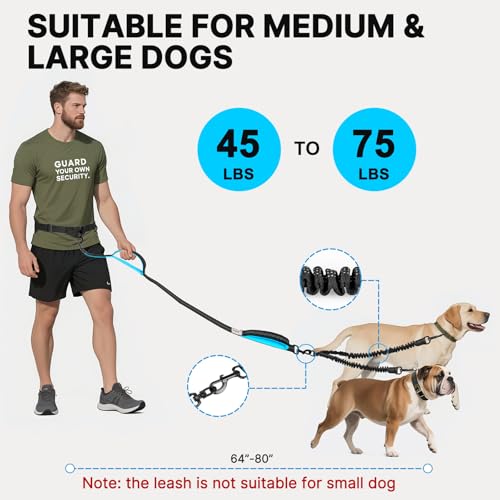 Hands Free Double Dog Leash Tangle Free (for Two Dogs / Black/Blue)