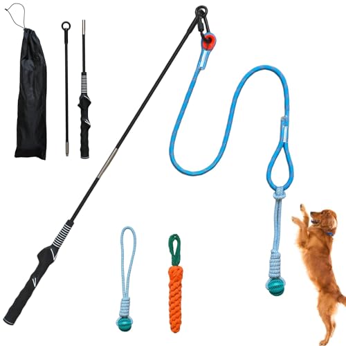 Flirt Pole for Dogs