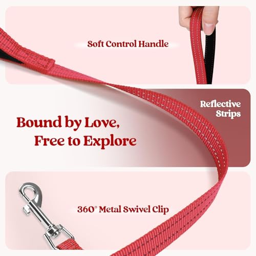 Dog Harness Medium Sized and Leash Set (Red / L (chest: 18.2 - 20.5"))