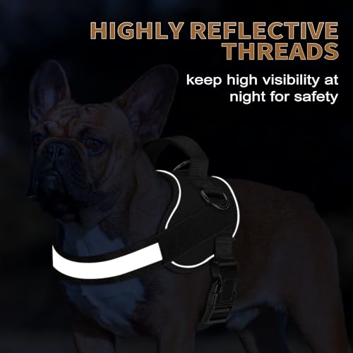 Essential Dog Harness (XS / Black)