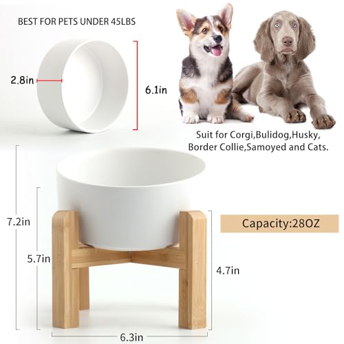 White Elevated (White / 3.6 CUPS - Medium Dog Bowls)
