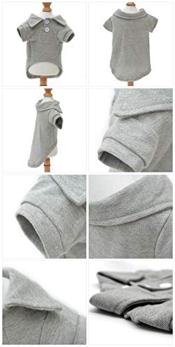 Basic Dog Polo Shirts Premium Cotton (M (-12lbs) / Gray)