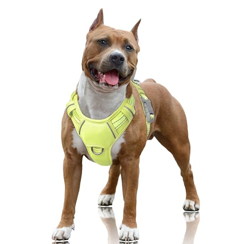 Dog Harness for Large Dogs No Pull Dog Vest ID Tag Pocket (Sunlight / Large)