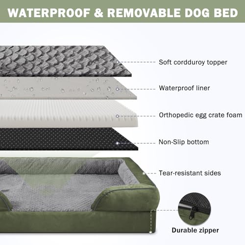 Orthopedic Medium Dog Dogs (M (28"x 23"x 6.5") / Green)