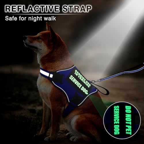 Service Dog Vest Harness and Leash Set+10 Patches (Large / Blue)