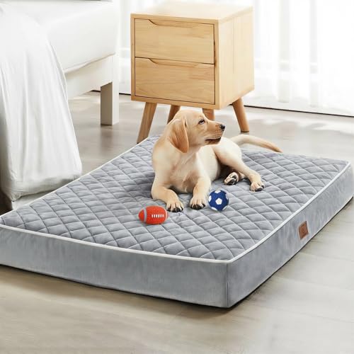 Orthopedic Waterproof Large Sized Senior Dogs Bed for Comfy Sleep (Light Grey / 36"L x 27"W x 3"Th)