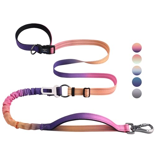 Hands Free Dog Leash for Medium Large Dogs Heavy Duty (Mistyrose)
