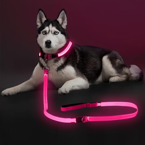LED Light Up Dog Leash (Pink / 6FT)