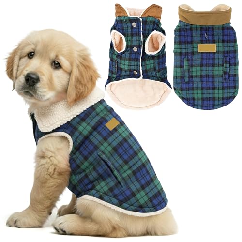 Dog Jacket Scottish Green Plaid Dog Winter Coat (S / Scottish Green)