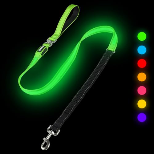 LED Bungee Dog Leash (5 FT, MAX: 6 FT / Green)