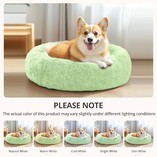 Calming Dog Bed Medium Size Dog (Light Green / 31.0"L x 31.0"W x 8.0"Th)