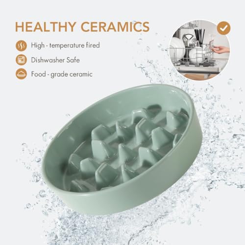 Ceramic Slow Feeder Dog Bowls (Light Green)