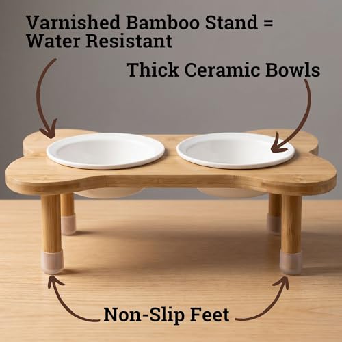 Elevated Dog Bowls for Small Dogs