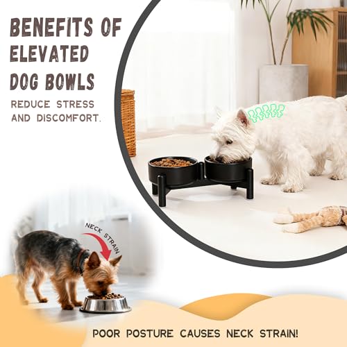 Raised Ceramic Dog Bowl Set with Stand (White / 2 Bowls - 1.6 Cups Each)