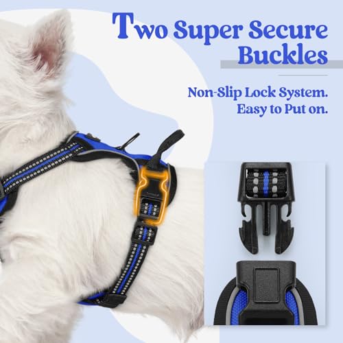 Dog Harness No Pull for Small Dogs with 2 Leash Clips (X-Small / Dazzling Blue)