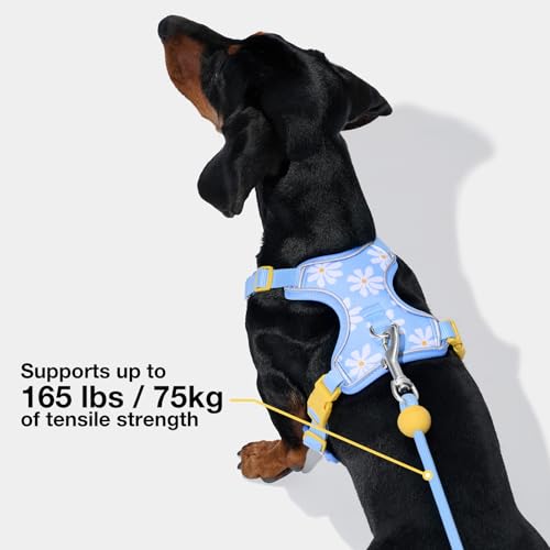 Crossbody Hands Free Dog Leash (Daisy Blue)