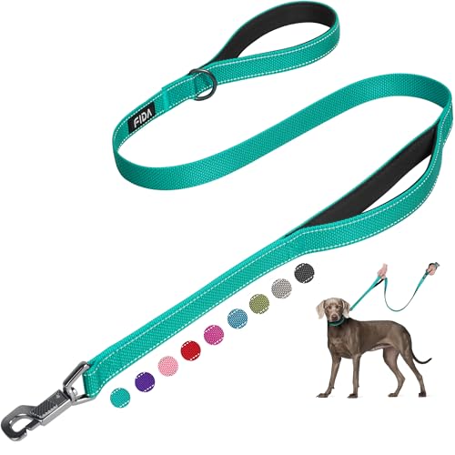 Heavy Duty Dog Leash for Medium Large Dogs (5 Feet (Pack of 1) / Teal)