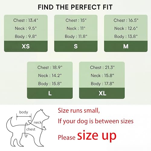 Small Dog Sweaters (green / Medium)