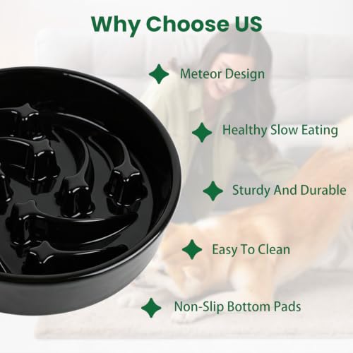 Ceramic Slow Feeder Dog Bowls (Black)