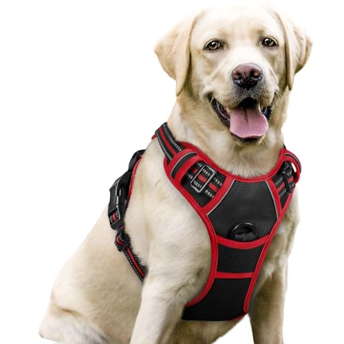 Dog Harness No Pull for Large Dogs with 2 Leash Clips (Large / Black & Red)