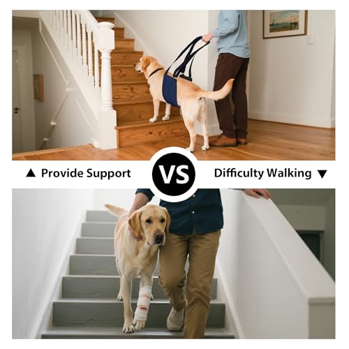 Summer Dog Lift Harness for Hind Leg Support (-Navy-Blue / M)