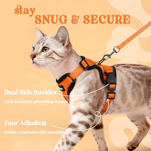 Cat Harness and Leash Set (Xxs / Orange)