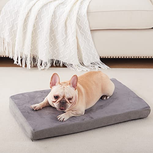 Orthopedic Memory Foam Dog Bed (Short Plush / Medium-29"x 18" x 3")