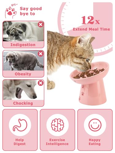 6 Inch Slow Feeder Bowl (Pink)