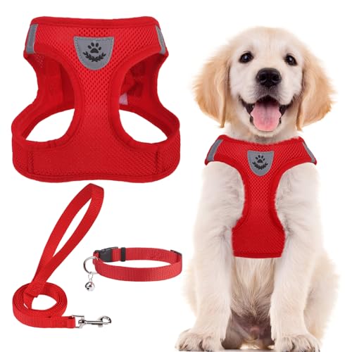 Dog Harness Collar and Leash Set No Pull for Small Medium Sized (Solid Red / S (CHEST 14.5"-16"))