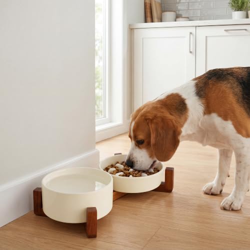 WHUD Elevated Ceramic Dog Bowls with Wooden Stand for Small to Medium Sized Dogs