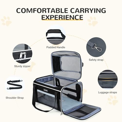Top Expandable Pet Carrier 18x13x9.5 Inch Southwest Frontier Airline Approved Soft Sided Underseat to 15lbs Travel Carriers for Small Cats Dogs with Locking Safety Zippers Anti (Black)