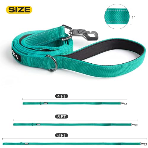 Heavy Duty Dog Leash for Medium Large Dogs (6 Feet (Pack of 1) / Teal)