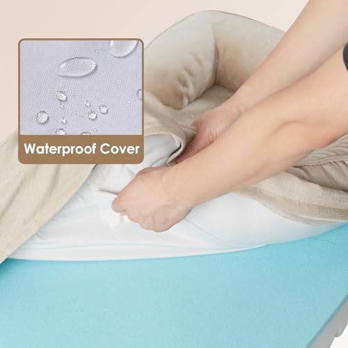 Orthopedic XXL Dog Bed (Beige / 52.0"l X 41.0"w X 8.0"th)