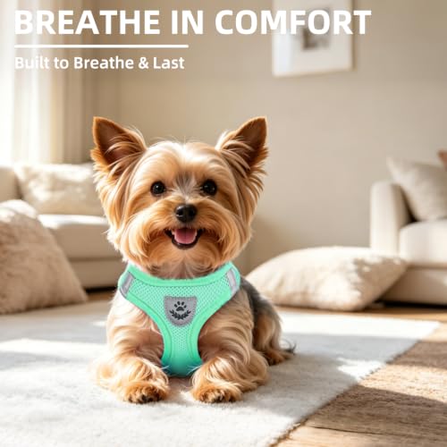 Adjustable Dog Harness Collar and Leash Set Step in No Pull Pet Harness for Small Medium Dogs Puppy and Cats Outdoor Walking Running (Solid Green / XS (CHEST 13"-14.5"))