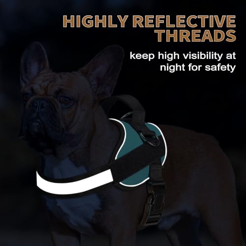Essential Dog Harness (S / Blue)