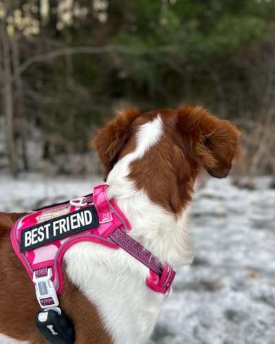 Dog Harness for Large Dogs (Camo - Pink Camo / L(Neck:18-29",Chest:24-37"),45-80 lbs)