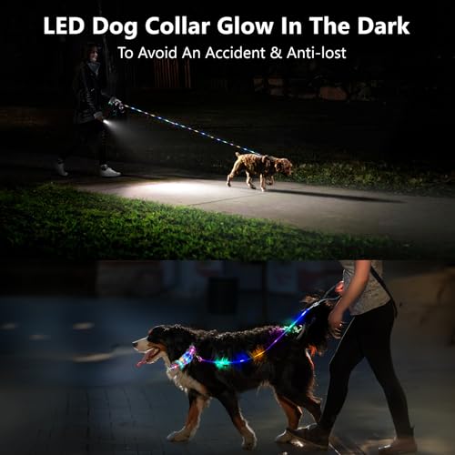 Light up Dog Leash USB Rechargeable for Small Medium Large Dogs (Bohemian Blue / L59in/W1in)